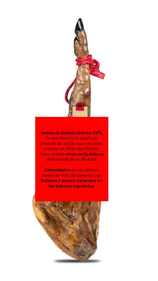 Jamón de bellota ibérico 50% raza ibérica - ACOR-FED IBERIAN HAM 50% IBERIAN RACE - 25 Sobres de 100g - Imagen 2
